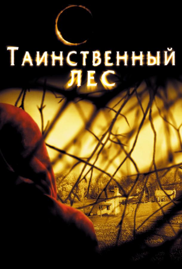 Фильм Таинственный лес (2004) смотреть онлайн бесплатно