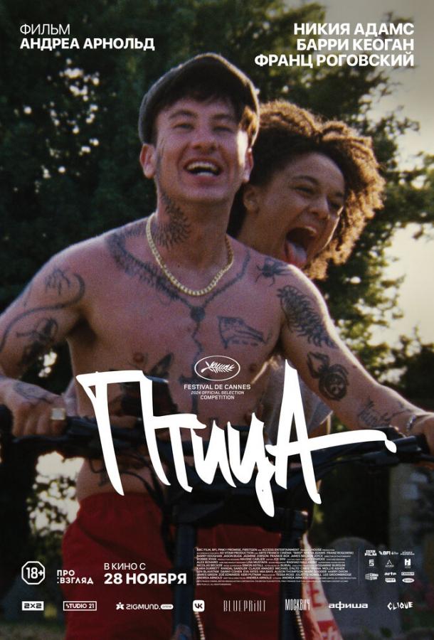 Фильм Птица (2024) смотреть онлайн